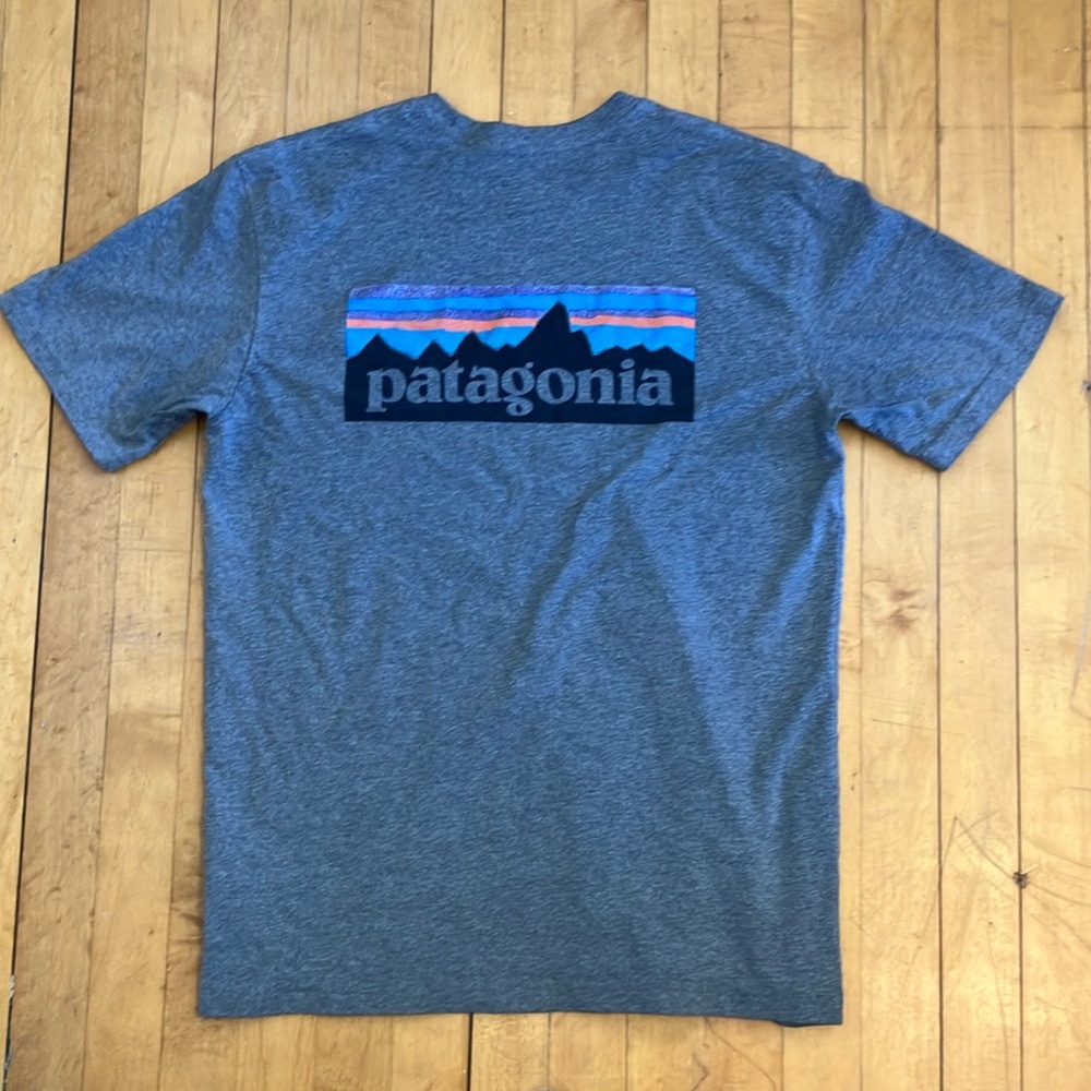Patagonia Men’s Gray Short Sleeve Tee Classic Crew Neck